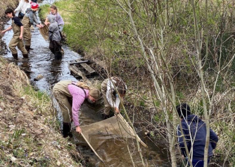 students sampling macroinvertebrates in a stream
